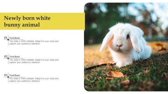 Newly Born White Bunny Animal Template PDF