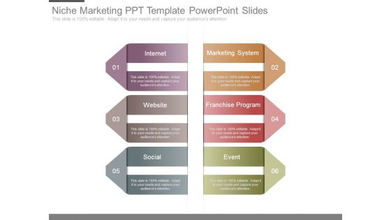 Niche Marketing Ppt Template Powerpoint Slides Niche Marketing Ppt Template Powerpoint Slides