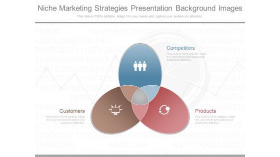 Niche Marketing Strategies Presentation Background Images Niche Marketing Strategies Presentation Background Images
