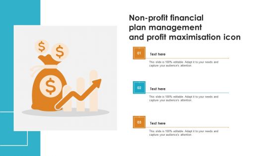 Non Profit Financial Plan Management And Profit Maximisation Icon Brochure PDF