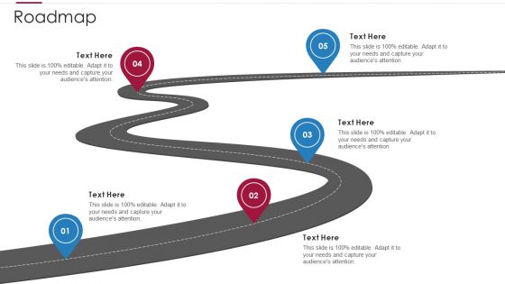 Non Profit Making Capital Raising Contributors Roadmap Elements PDF