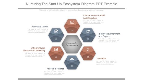 Nurturing The Start Up Ecosystem Diagram Ppt Example