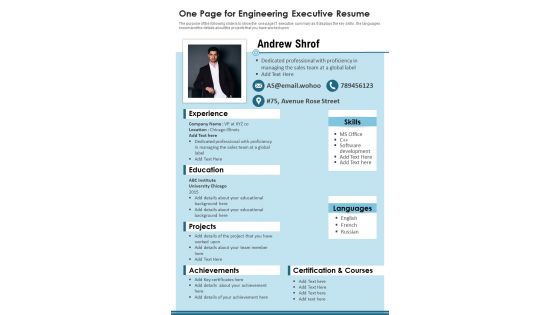 One Page For Engineering Executive Resume PDF Document PPT Template
