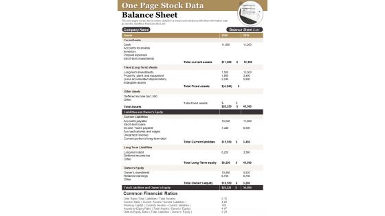 One Page Stock Data Balance Sheet PDF Document PPT Template
