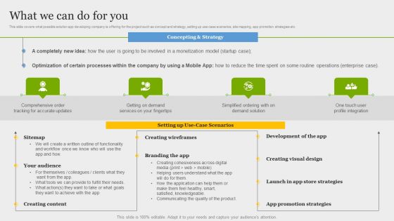 Online Application Development What We Can Do For You Microsoft PDF