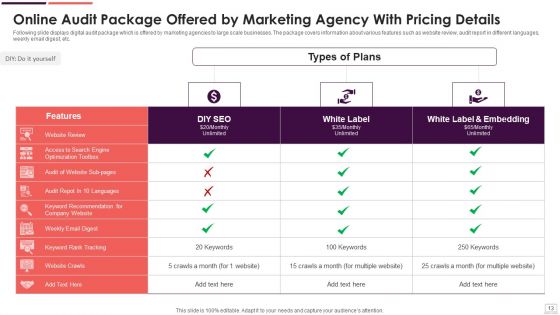 Online Audit Ppt PowerPoint Presentation Complete Deck With Slides