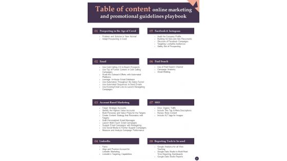 Online Marketing And Promotional Guidelines Playbook Template