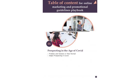 Online Marketing And Promotional Guidelines Playbook Template