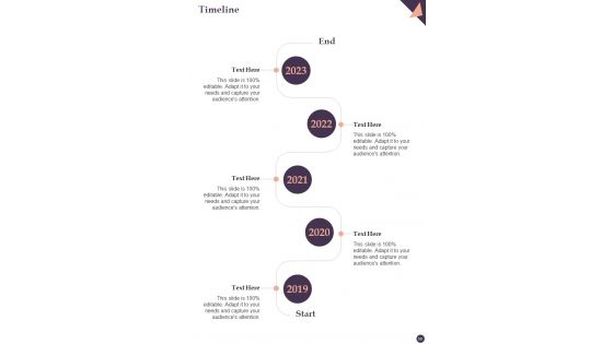 Online Marketing And Promotional Guidelines Playbook Template