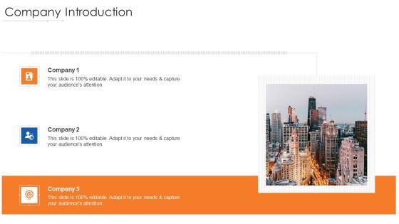 Online Marketing Approach And Execution Company Introduction Structure Pdf