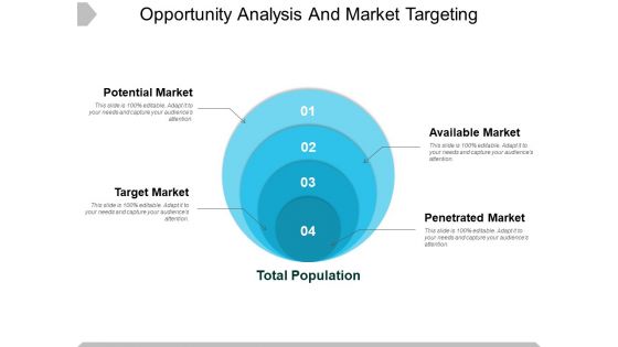 Opportunity Analysis And Market Targeting Ppt PowerPoint Presentation Slides Influencers