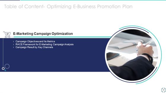 Optimizing E-Business Promotion Plan Ppt PowerPoint Presentation Complete Deck With Slides
