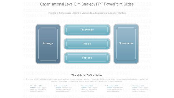 Organisational Level Eim Strategy Ppt Power Point Slides