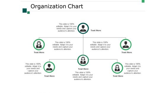 Organization Chart Ppt PowerPoint Presentation Slides Clipart