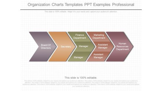 Organization Charts Templates Ppt Examples Professional Organization Charts Templates Ppt Examples Professional
