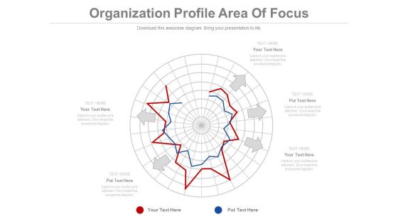 Organization Profile Area Of Focus Ppt Slides