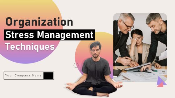 Organization Stress Management Techniques Ppt PowerPoint Presentation Complete Deck With Slides