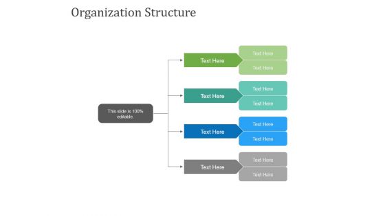 Organization Structure Ppt PowerPoint Presentation Outline Aids
