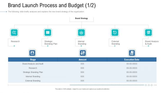 Organizational Development And Promotional Plan Brand Launch Process And Budget Audit Icons PDF