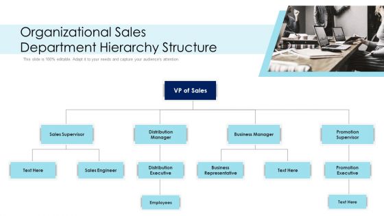 Organizational Sales Department Hierarchy Structure Ppt PowerPoint Presentation Gallery Designs PDF