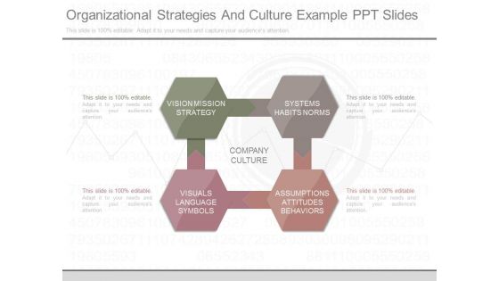 Organizational Strategies And Culture Example Ppt Slides