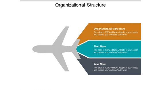 Organizational Structure Ppt PowerPoint Presentation Ideas Design Ideas Cpb
