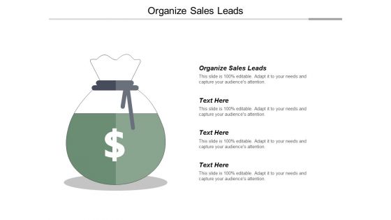 Organize Sales Leads Ppt PowerPoint Presentation Professional Ideas