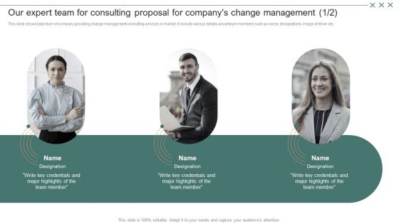 Our Expert Team For Consulting Proposal For Companys Change Management Sample PDF