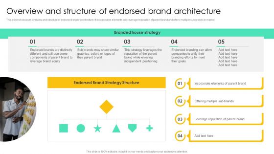 Overview And Structure Of Endorsed Brand Architecture Formats PDF