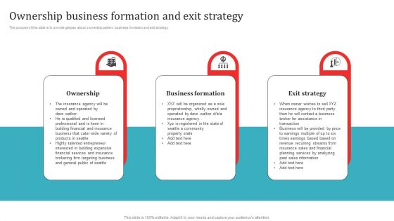 Ownership Business Formation And Exit Strategy Introduction PDF