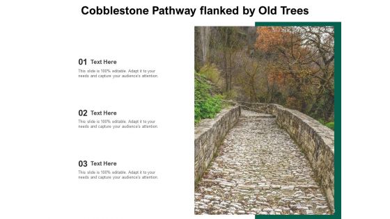 Passage Old Trees Mountain Top Ppt PowerPoint Presentation Complete Deck