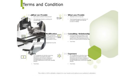 Paysheet Offshoring Company Terms And Condition Ppt Summary Shapes PDF