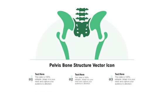 Pelvis Bone Structure Vector Icon Ppt PowerPoint Presentation Gallery Gridlines PDF