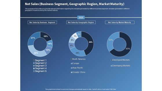 Performance Assessment Sales Initiative Report Net Sales Business Segment Geographic Region Market Maturity Information