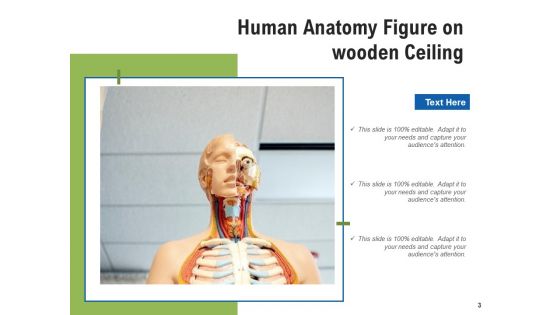 Person Artificial Human Sports Track Ppt PowerPoint Presentation Complete Deck