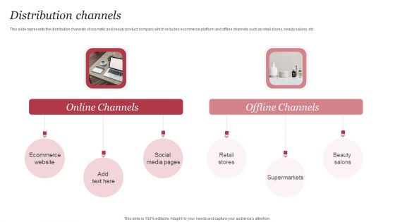 Personal Care Company Profile Distribution Channels Ppt PowerPoint Presentation File Layouts PDF