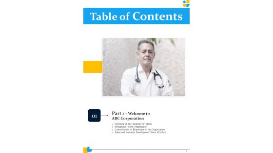 Pharmaceutical Sales Representatives Strategy Playbook Template