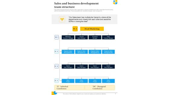 Pharmaceutical Sales Representatives Strategy Playbook Template