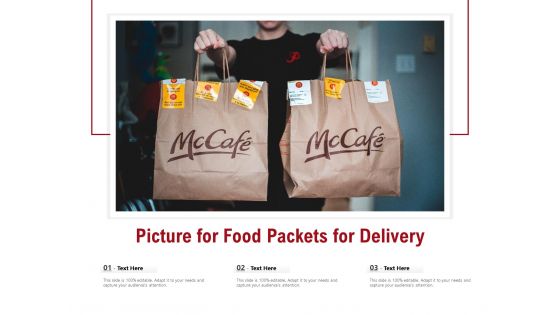 Picture For Food Packets For Delivery Ppt PowerPoint Presentation Show File Formats PDF