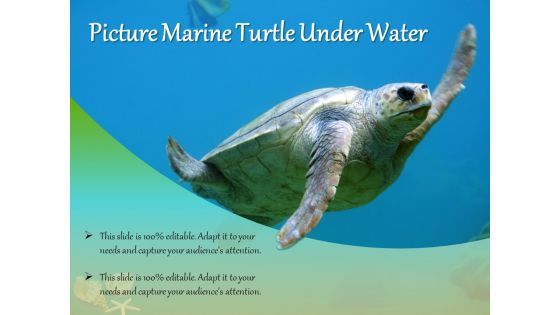 Picture Marine Turtle Under Water Ppt PowerPoint Presentation Infographics Grid PDF