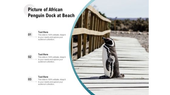 Picture Of African Penguin Dock At Beach Ppt PowerPoint Presentation Gallery Layout Ideas PDF