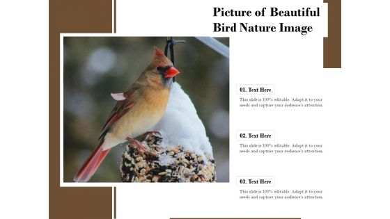 Picture Of Beautiful Bird Nature Image Ppt PowerPoint Presentation Infographic Template Aids PDF