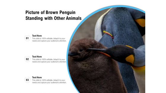 Picture Of Brown Penguin Standing With Other Animals Ppt PowerPoint Presentation Gallery Portrait PDF