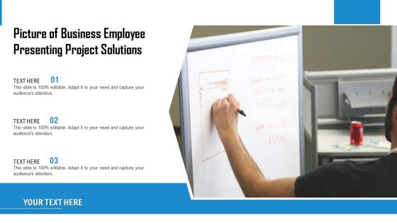 Picture Of Business Employee Presenting Project Solutions Ppt PowerPoint Presentation Gallery Diagrams PDF
