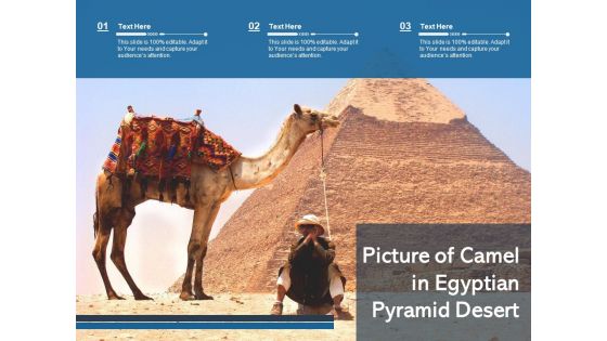 Picture Of Camel In Egyptian Pyramid Desert Ppt PowerPoint Presentation Gallery Gridlines PDF