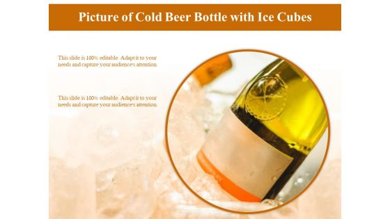 Picture Of Cold Beer Bottle With Ice Cubes Ppt PowerPoint Presentation Background PDF