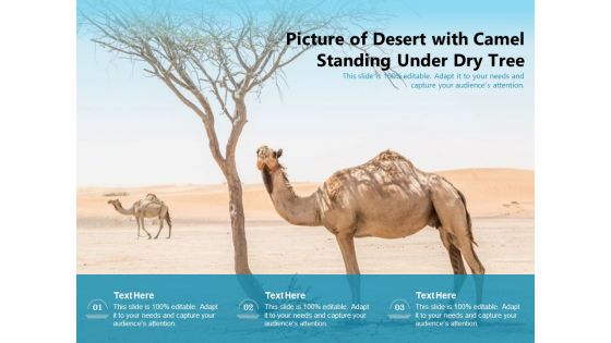 Picture Of Desert With Camel Standing Under Dry Tree Ppt PowerPoint Presentation Gallery Summary PDF