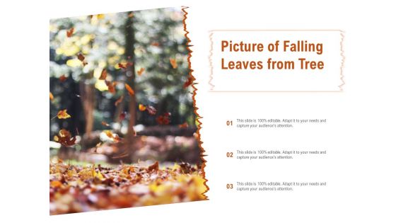 Picture Of Falling Leaves From Tree Ppt PowerPoint Presentation Ideas Samples