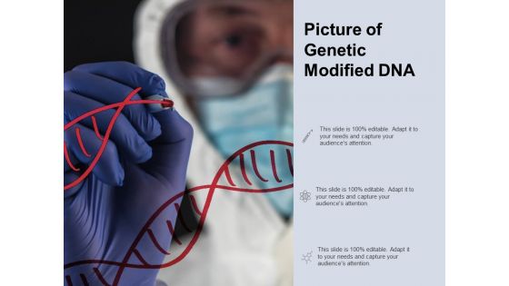 Picture Of Genetic Modified DNA Ppt PowerPoint Presentation Infographic Template Example Introduction