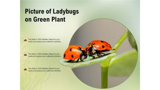 Picture Of Ladybugs On Green Plant Ppt PowerPoint Presentation Portfolio Sample PDF